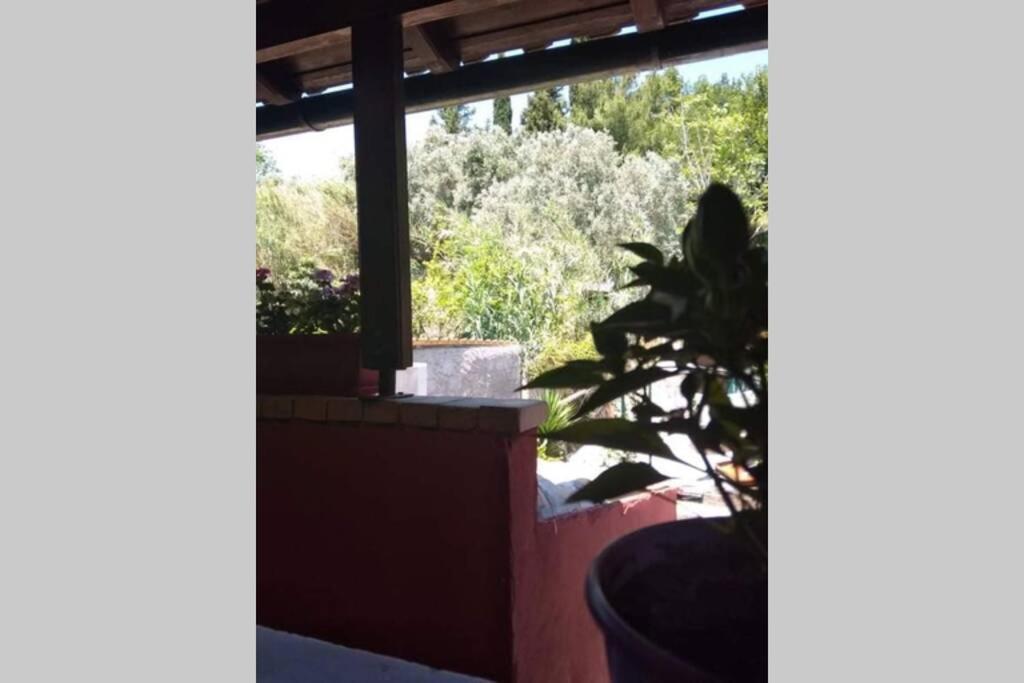 Green Hill Studio Corfu Town Exterior photo